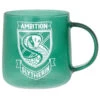 Hallmark Harry Potter™ Slytherin™ Glass Mug -Quality Home Store 0001HPO1066