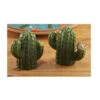 Cactus Salt & Pepper Shaker Set 1 Cactus Salt & Pepper Shaker Set -Quality Home Store 22175