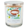 Hallmark Sea Salt Vanilla 3-Wick Jar Candle, 16 Oz. -Quality Home Store BGC1064 01